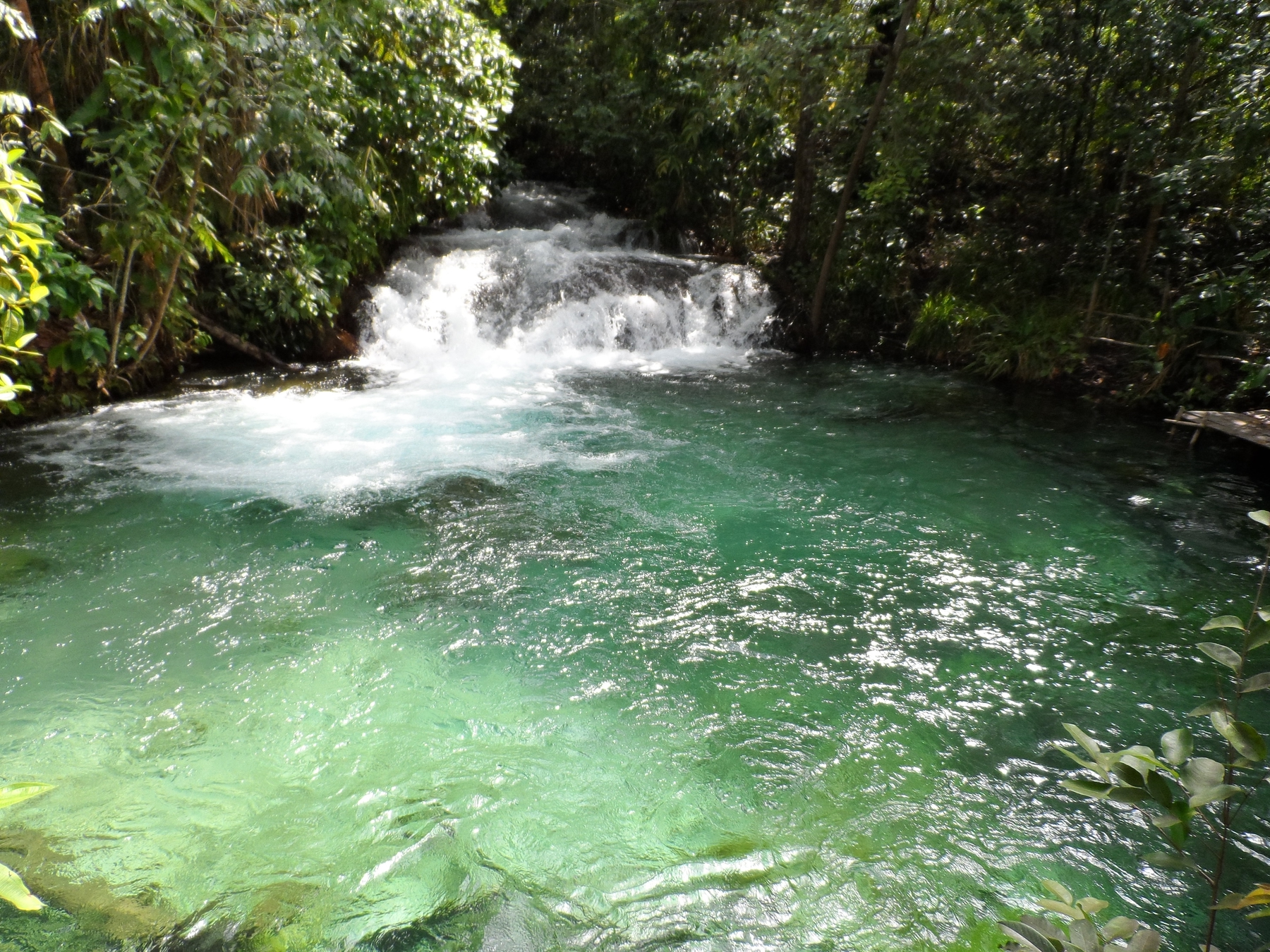 Cachoeira da Formiga
