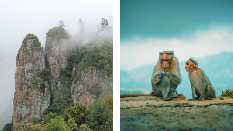 two images: one of mountains in the clouds and one of two monkeys sat down