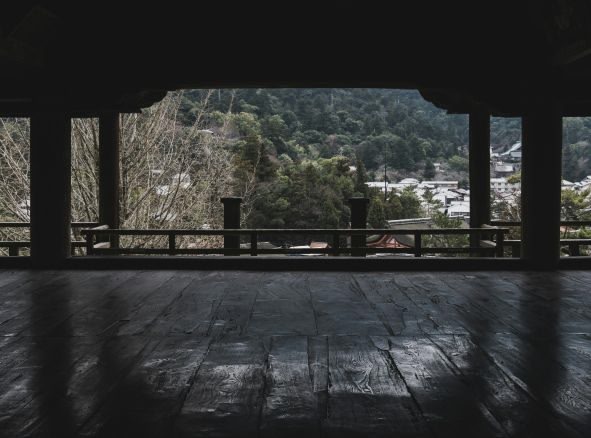 árboles verdes y valla de madera