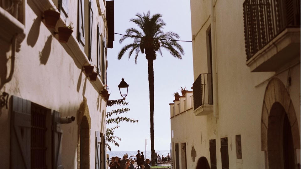 Streta via conduce a una spiaggia con una palma. Edifici bianchi fiancheggiano la strada.