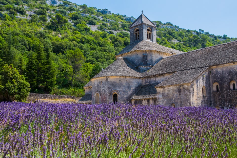 Aποδράσεις με τη μαμά σε χρώμα μωβ στην Προβηγκία