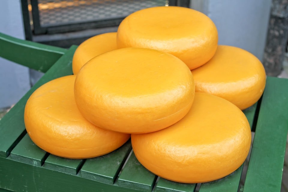 Gouda