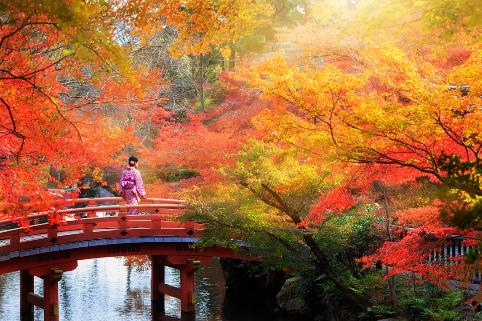 Sentiero del Filosofo Kyoto