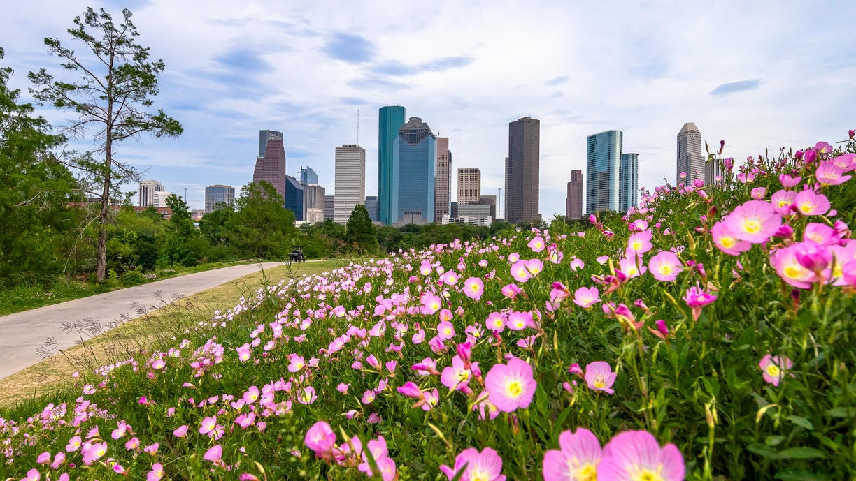 Houston