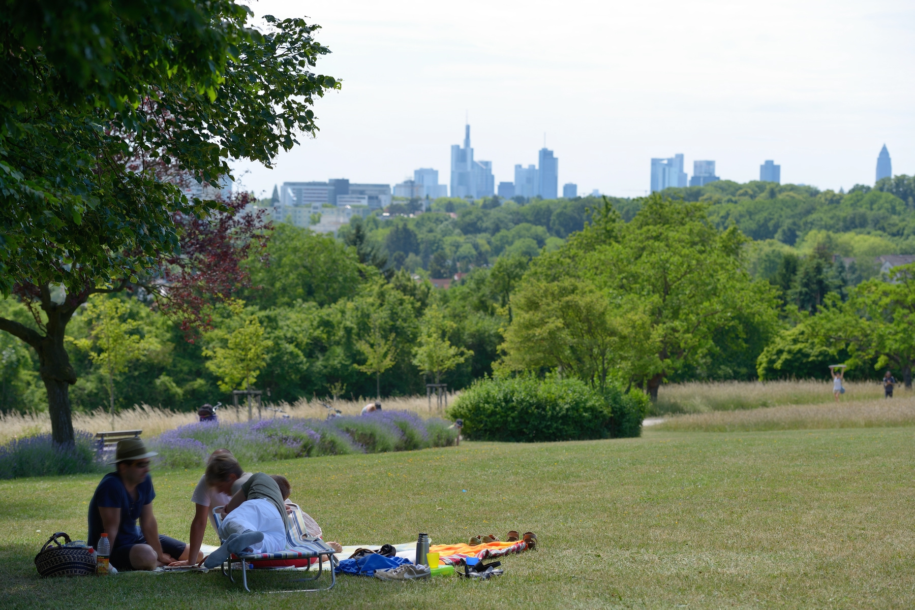 Lohrberg mit Aussicht auf die Skyline von Frankfurt