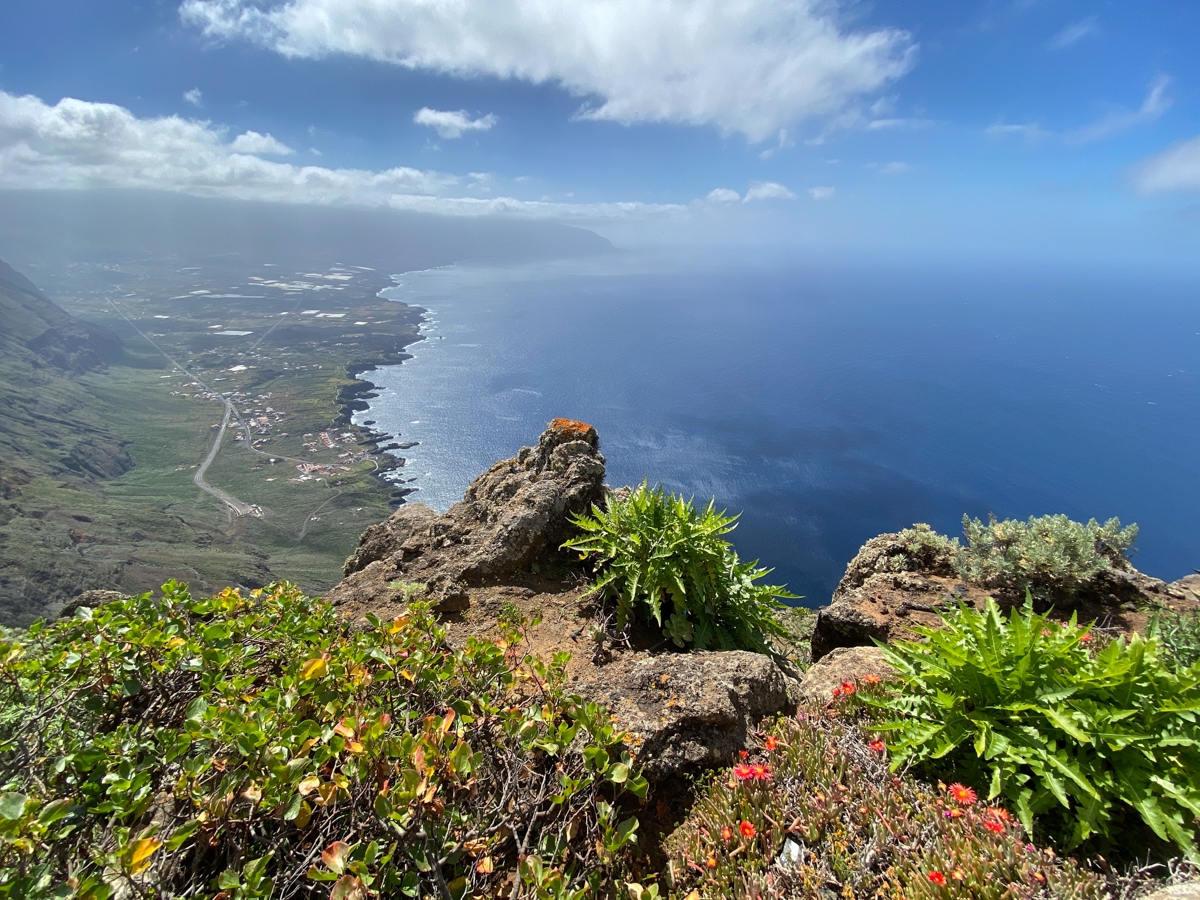Viaggio nella natura selvaggia - El Hierro