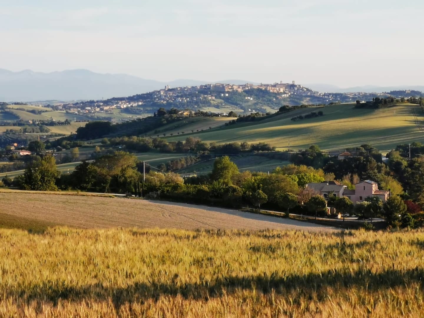 Rolling hills in the Le March region of Italy.