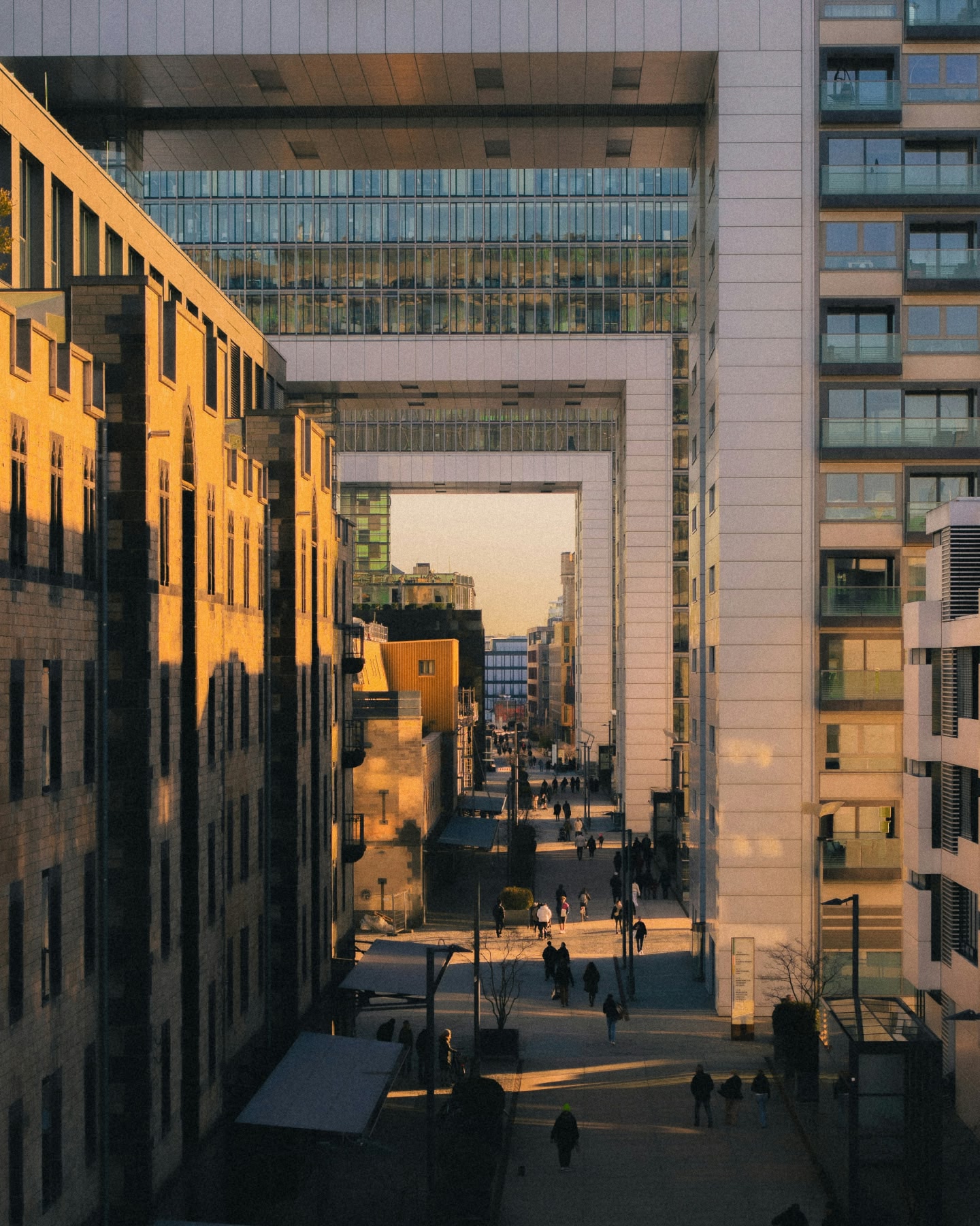 Tunnel view down a street surrounded by tall buildings at golden hour in Cologne, Germany