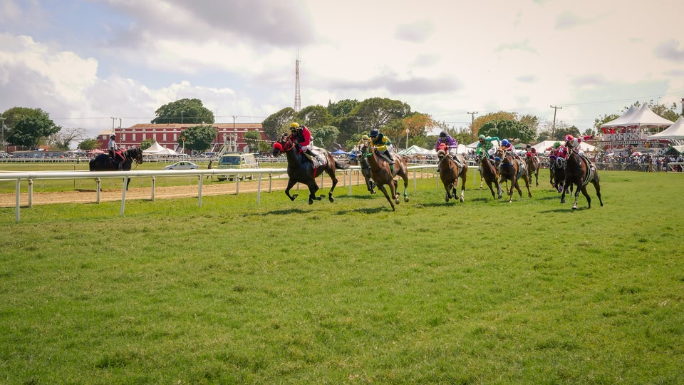 Sandy Lane Gold Cup Pferderennen