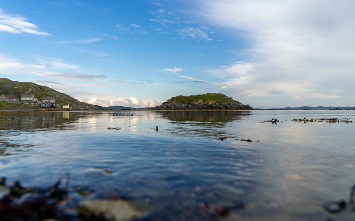 shores of Twillingate in Newfoundland, view by the water