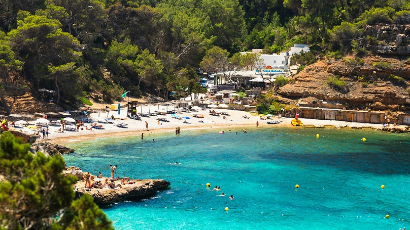 una spiaggia immersa nella natura con acque cristalline durante il giorno