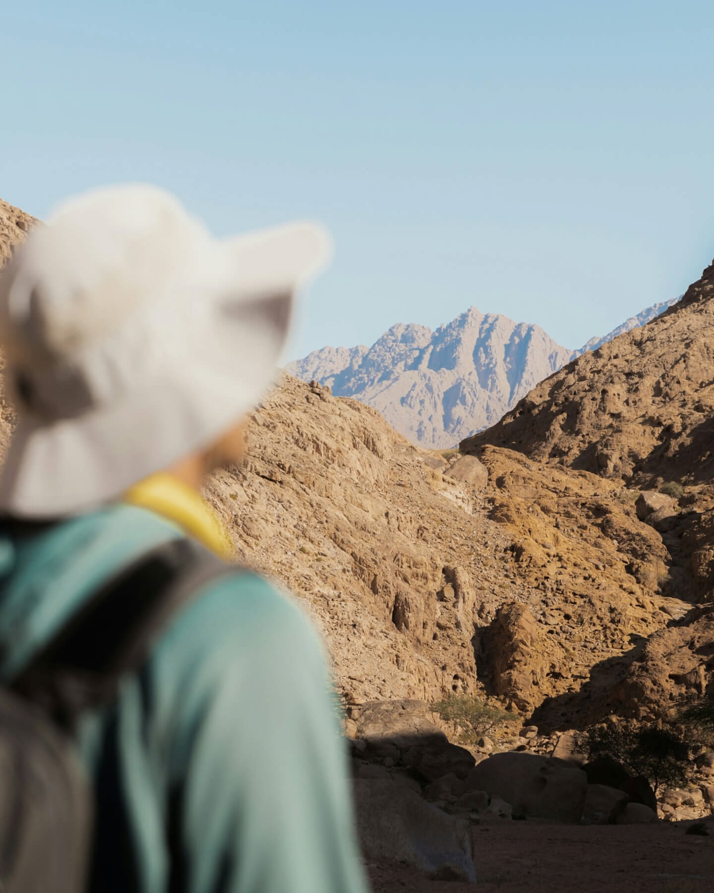 A hiker wearing a sunhat, looking out over rocky mountains