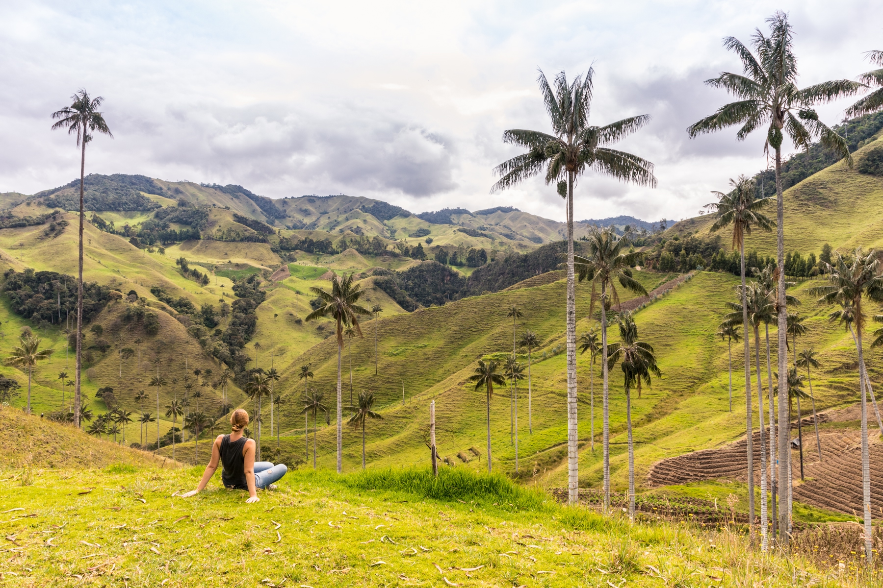 Solo traveler looking out at a lush tropical landscape