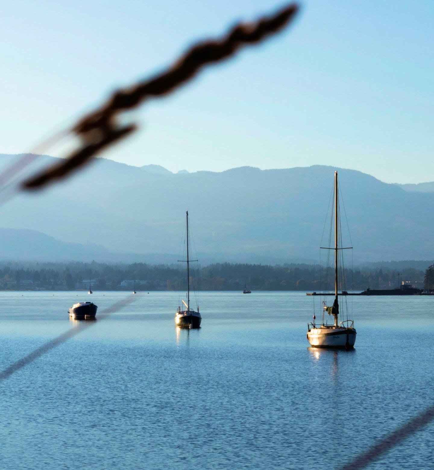 Three small boats sit on calm waters surrounding Comox, British Columbia, on a tranquil evening.
