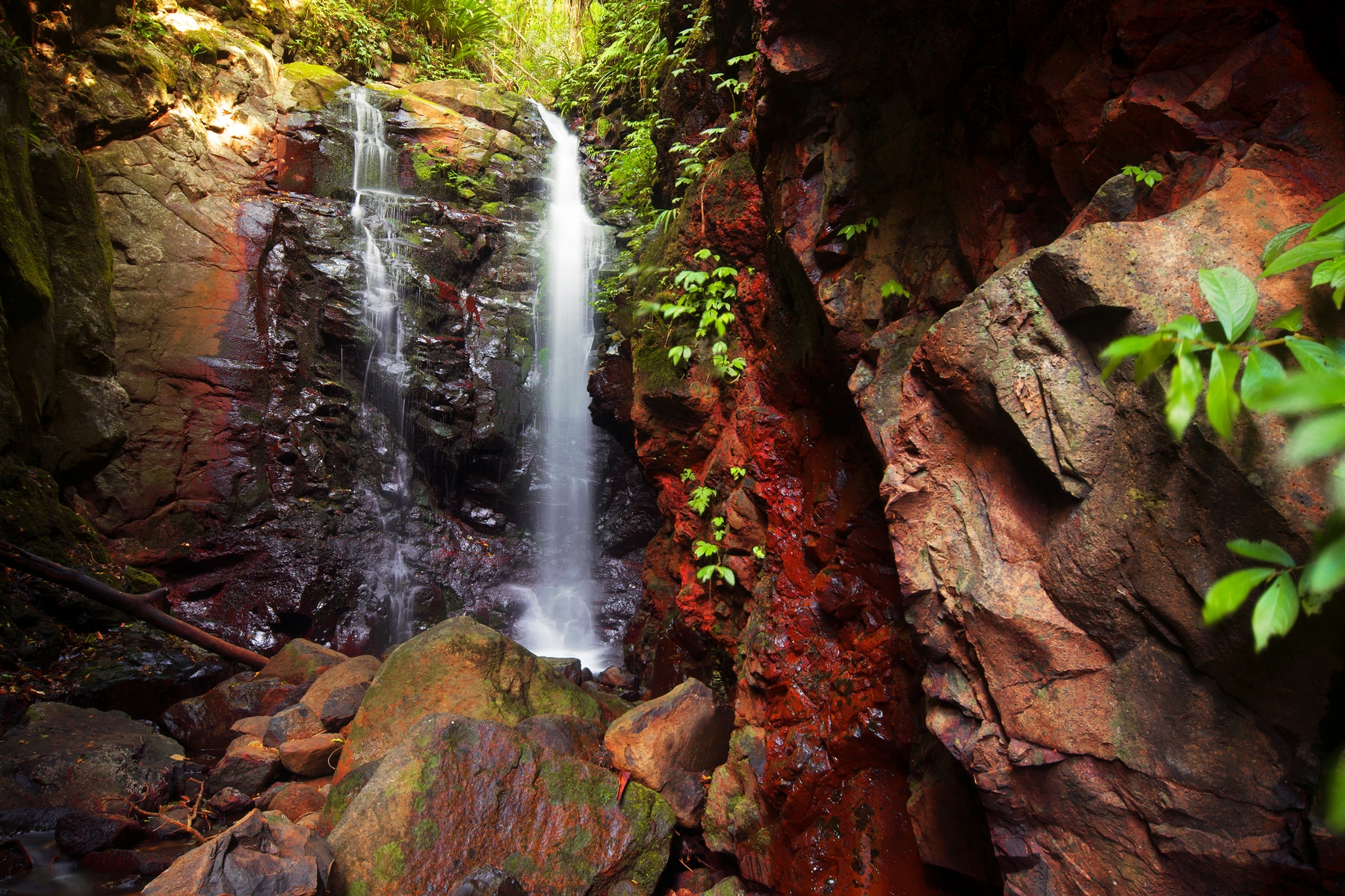 Springbrook National Park, Queensland