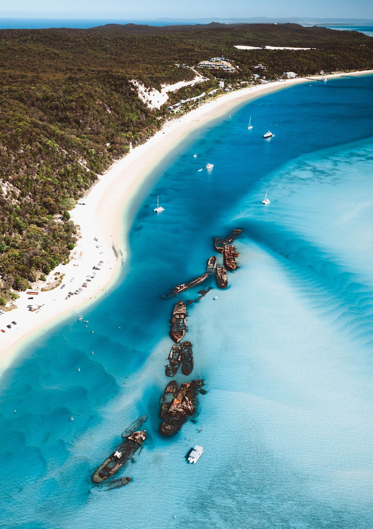 Explore Moreton Island on a trip to Brisbane