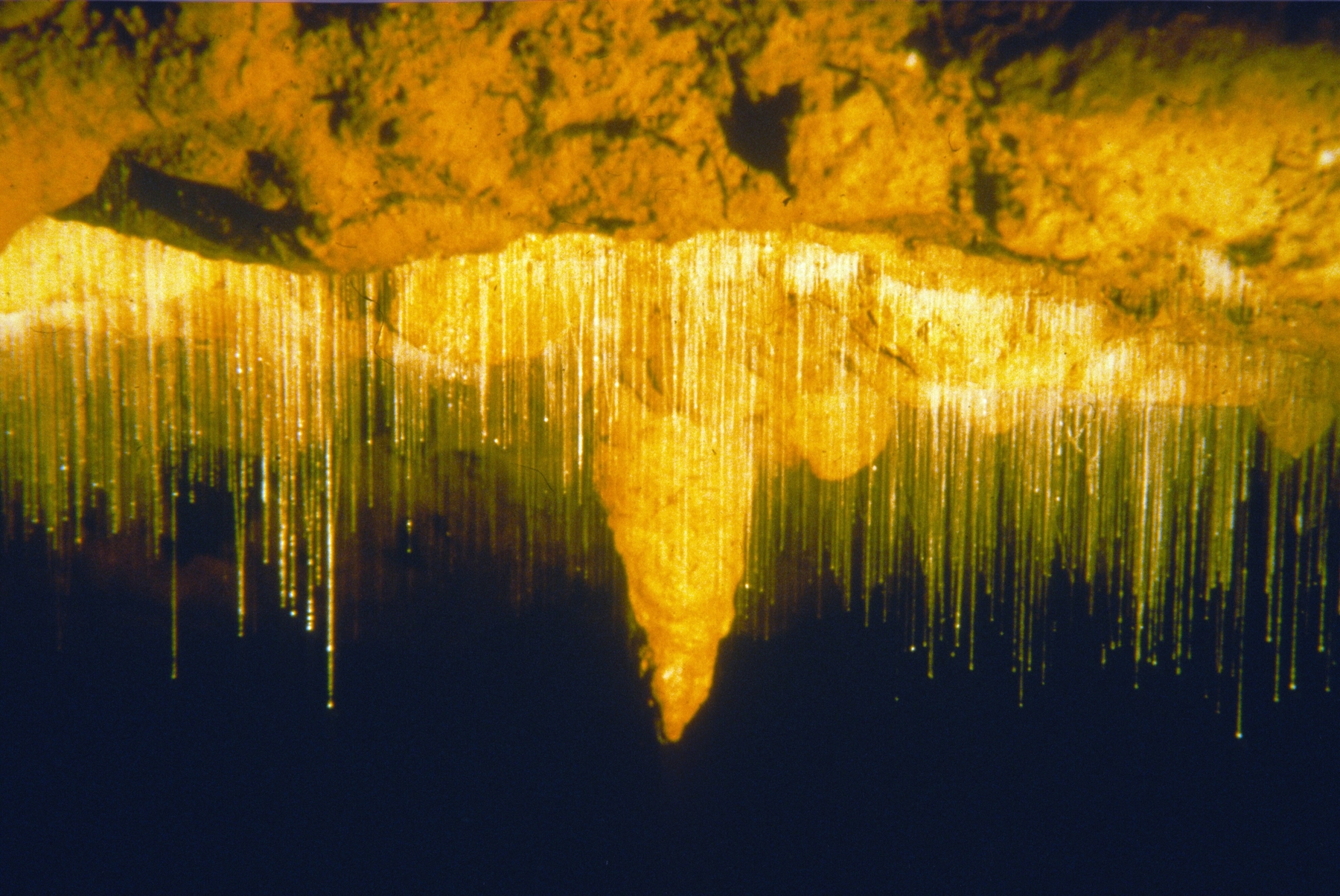 Grutas Waitomo, na Nova Zelândia.