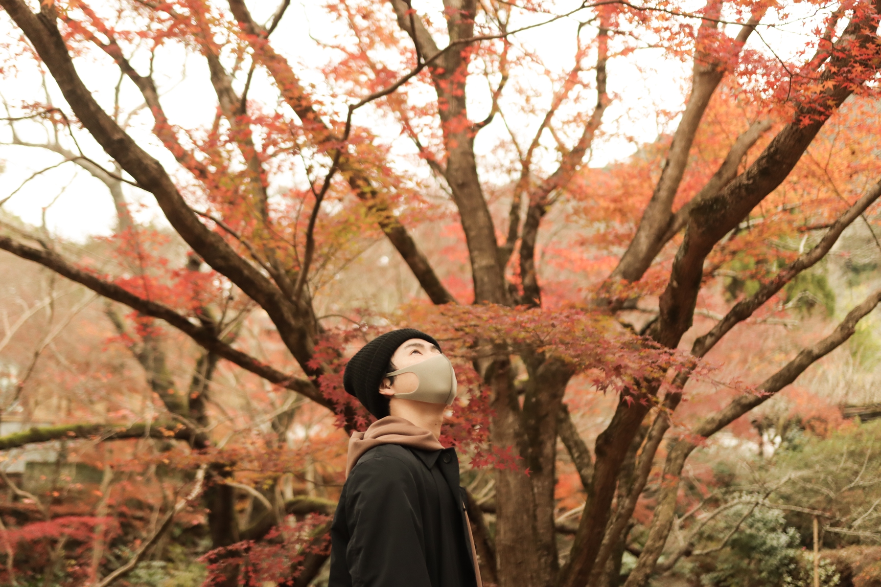 Solo traveler looking up at a colorful tree in Japan, one of the best places to travel alone.