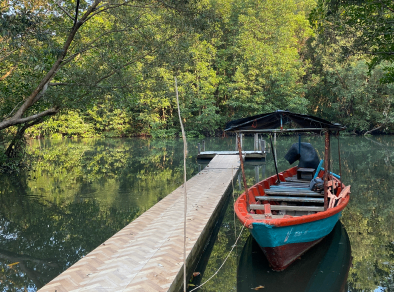 Eine ruhige Aufnahme eines kleinen Bootes, das auf einem Pier im ruhigen Wasser eines Sees geparkt ist, umgeben von üppigen hellgrünen Bäumen.