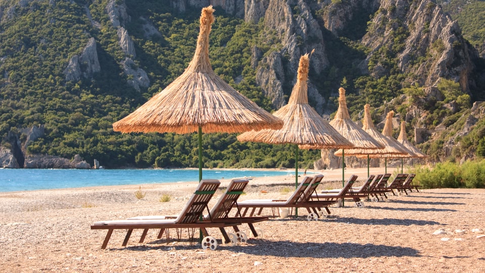 sun beds with umbrellas above them lined up on a beach