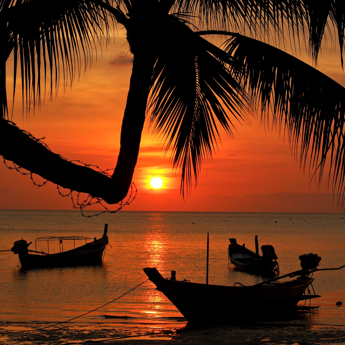 Der ultimative Südostasien-Guide für Anfänger | Skyscanner Deutschland