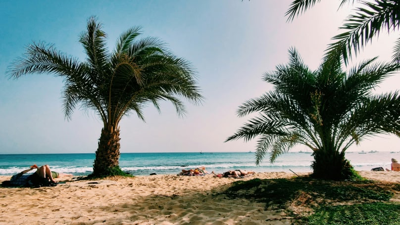 una spiaggia dorata con le palme durante il giorno