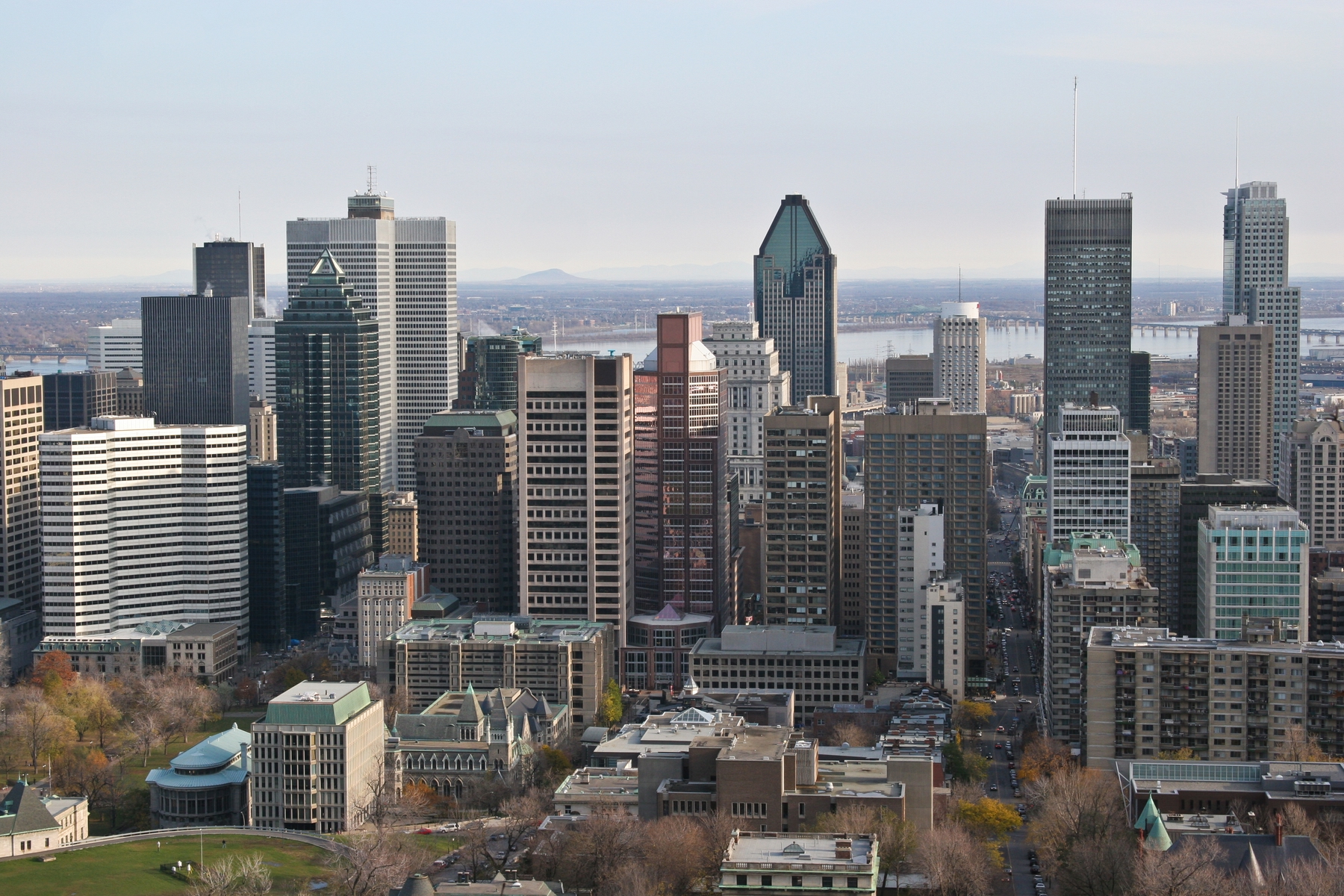 view of downtown Montreal at the top of Mount Royal
