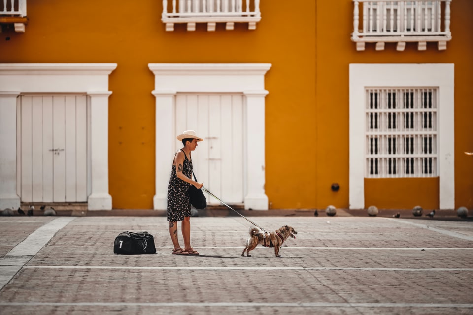 A photo of a woman with her dog in Europe