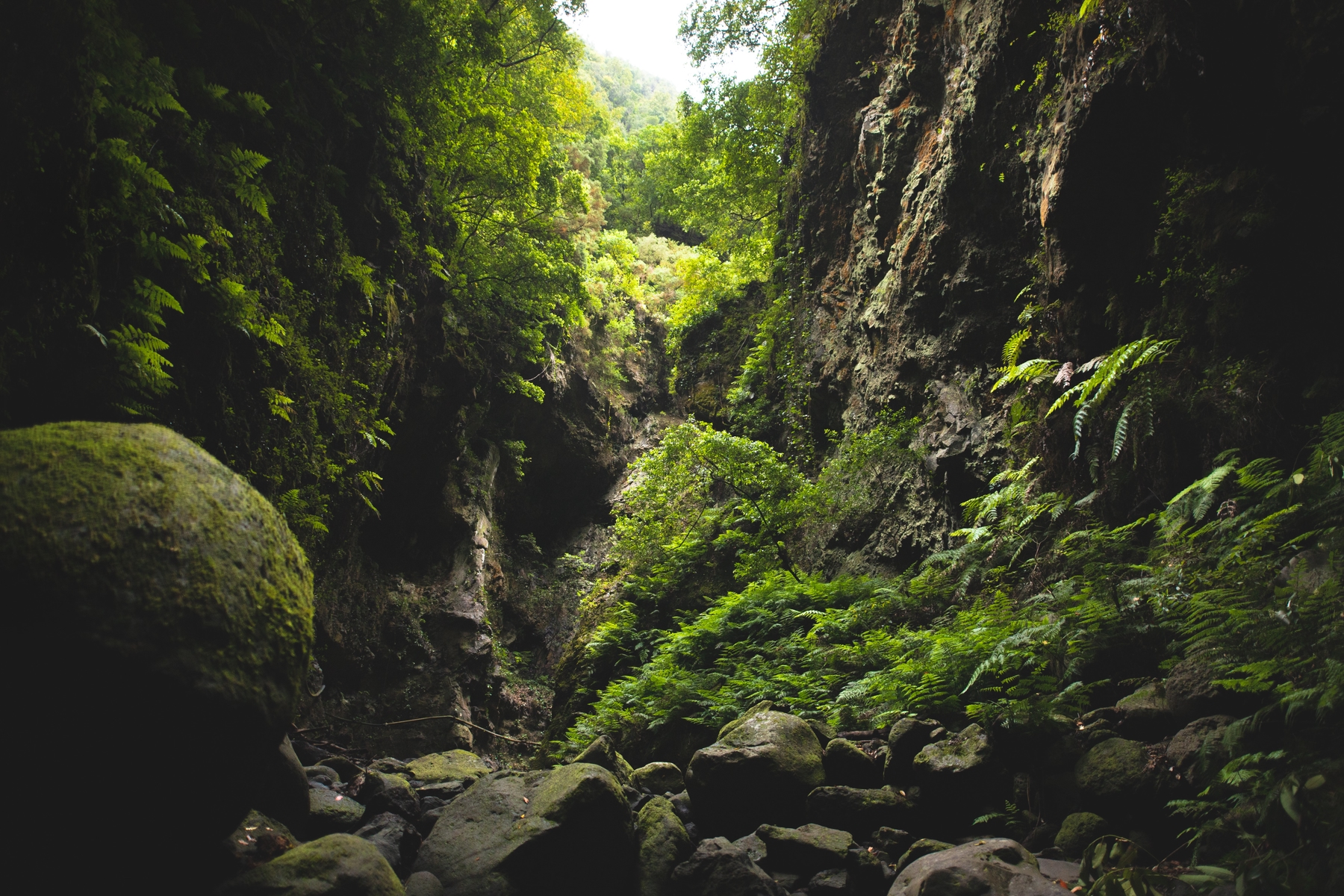 Vakantie La Palma