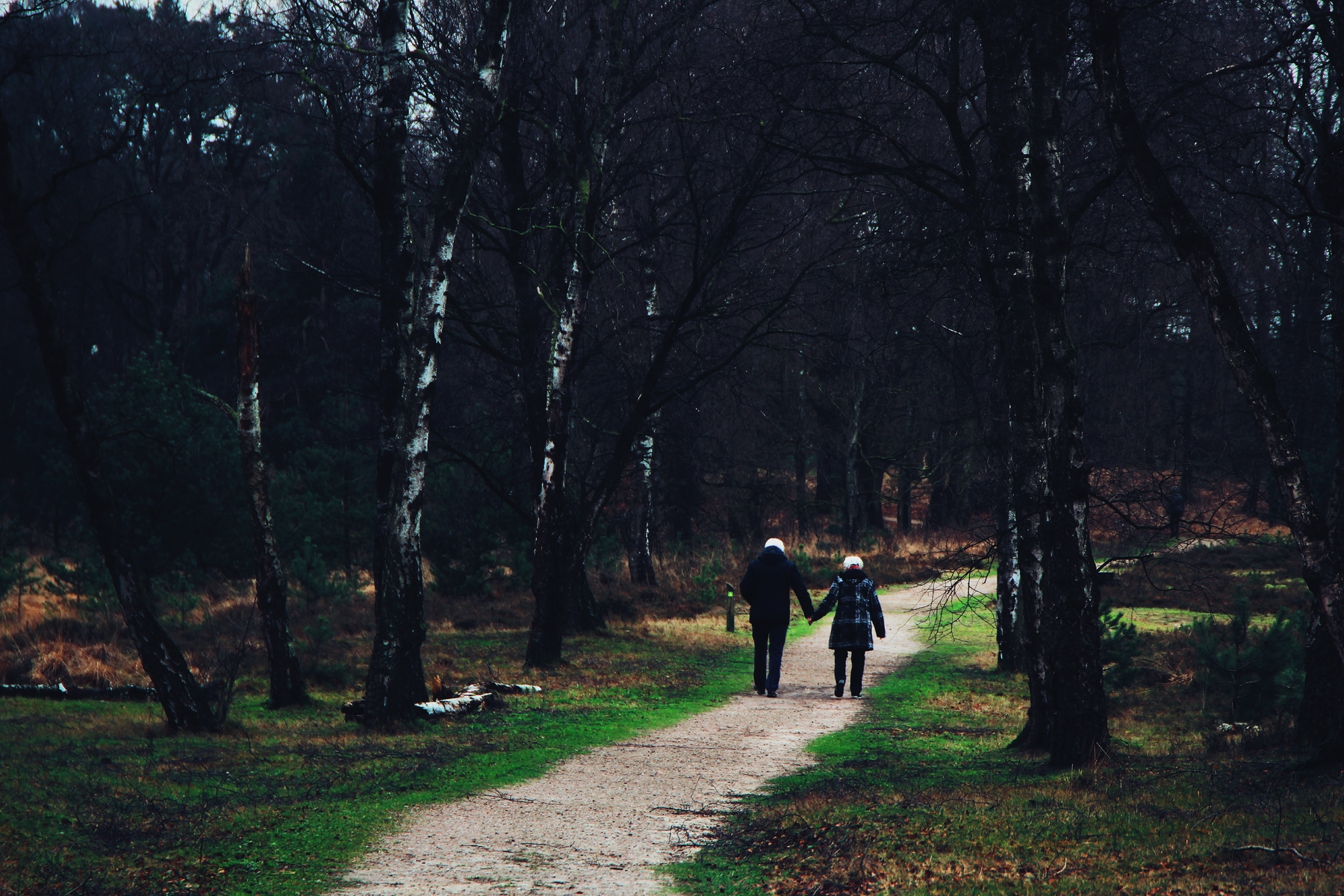 Wandelen in Nederland