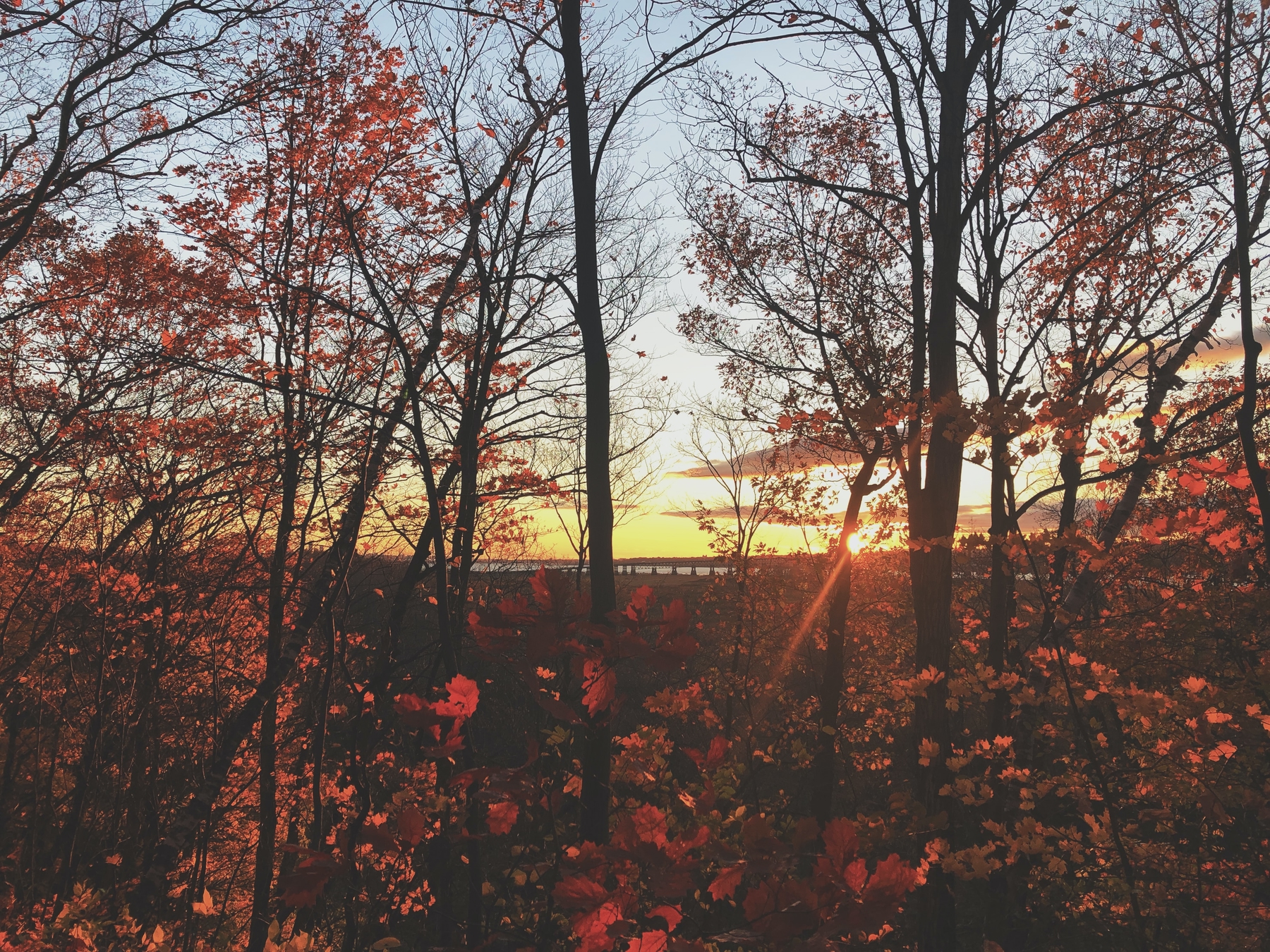 the fall colours by sunset in Ile d'Orleans, Quebec