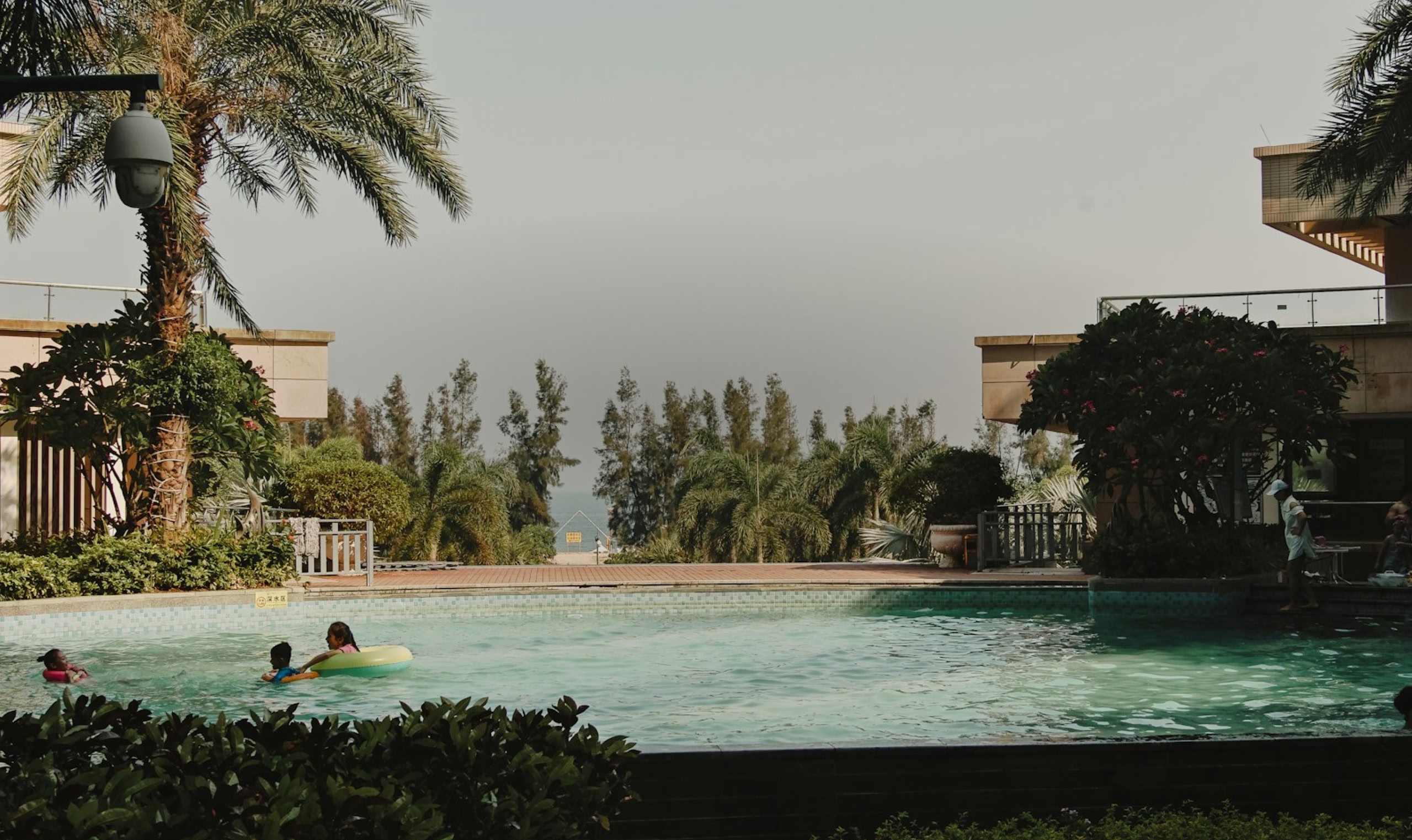 Children playing in a pool surrounded by palm trees.
