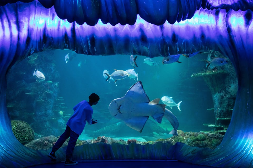 Sofitel Darling Harbour