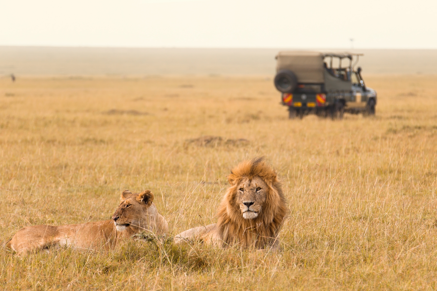 Serengeti