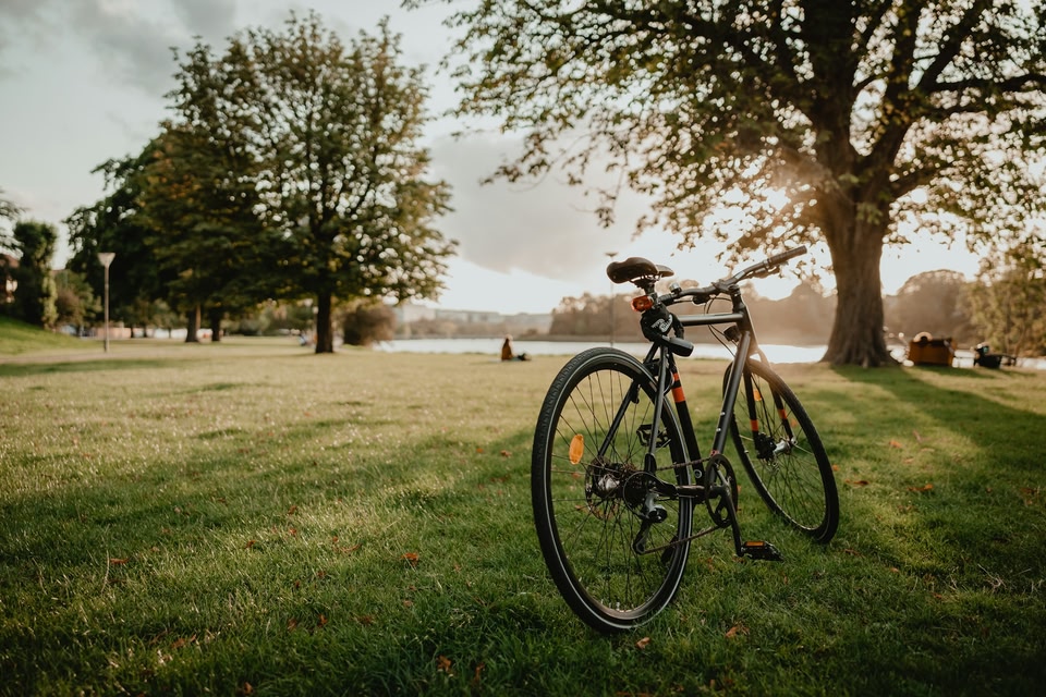 bici al parco