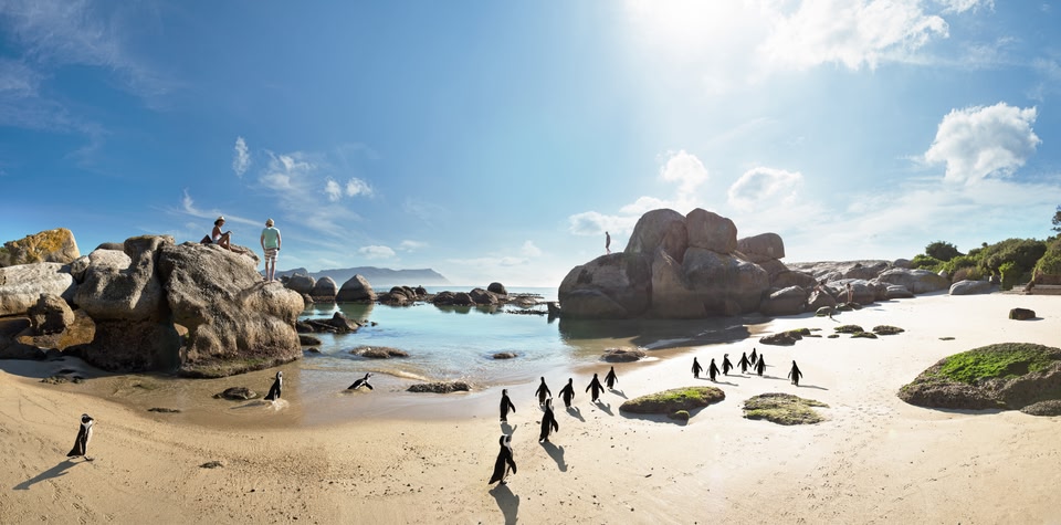 Die Top 10 Aktivitäten in Südafrika: Sightseeing in Kapstadt und Umrundung der Kap-Halbinsel