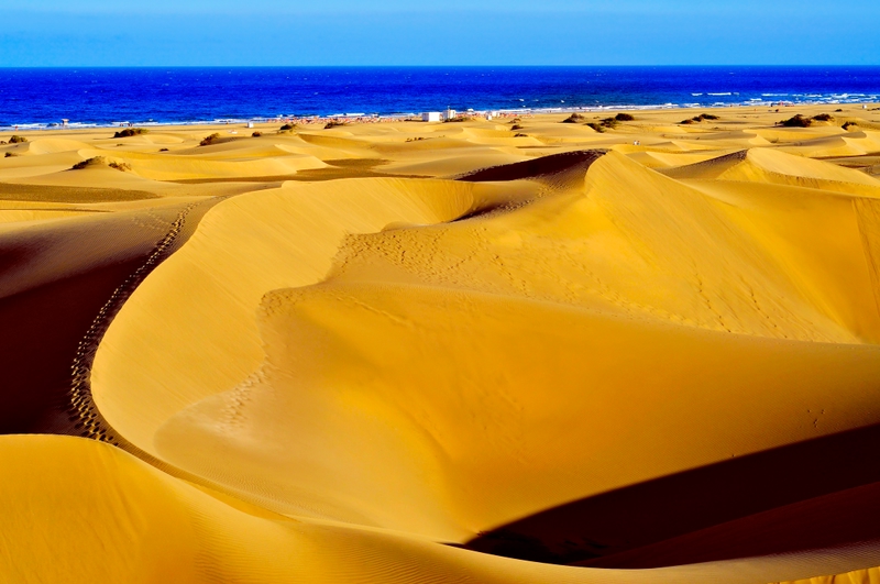 dunas junto al mar