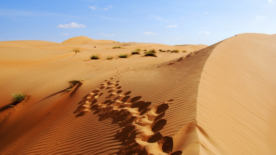 an image of a sand dune in a desert 