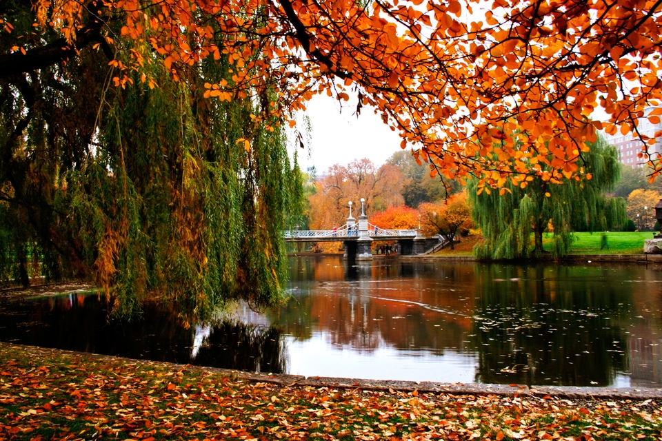 Boston cosa vedere: Parco pubblico