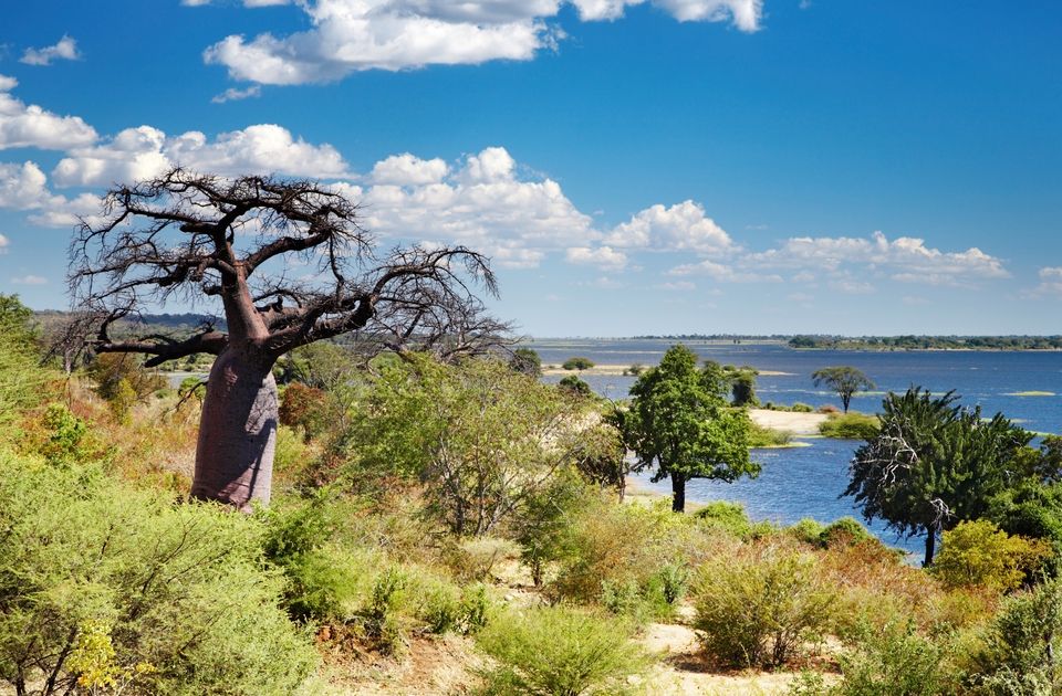 Safari in Africa - paesaggio del Botswana