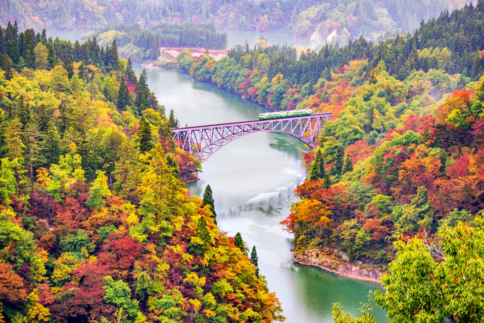 掛軸 広田超遊 渓谷之秋 木箱 紅葉 風景画 山水 81kazik01+L._UF350,350_QL80_.jpg