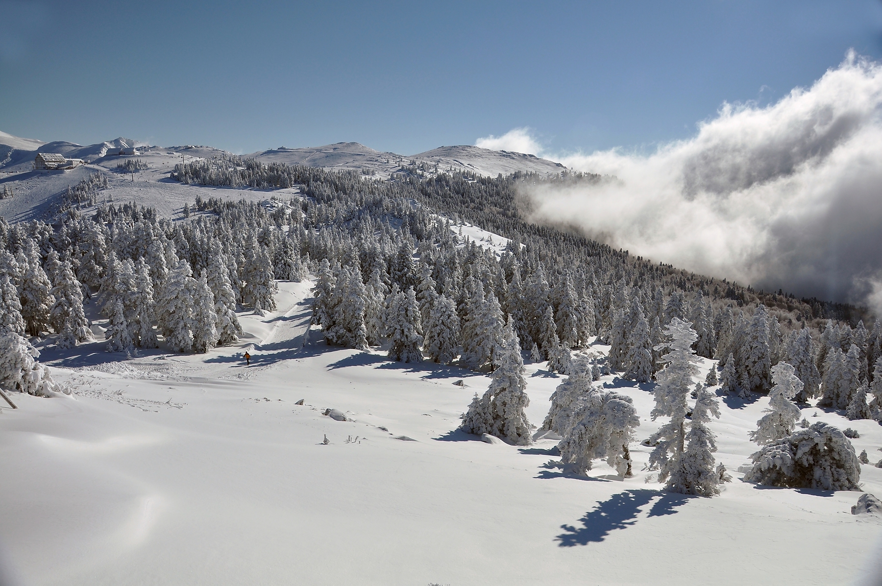 Skier en 2021, un plaisir mérité