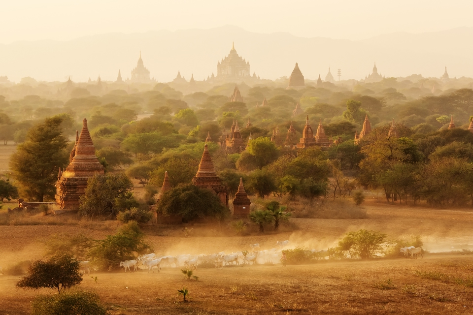 Ancient ruins of temples spreading into background
