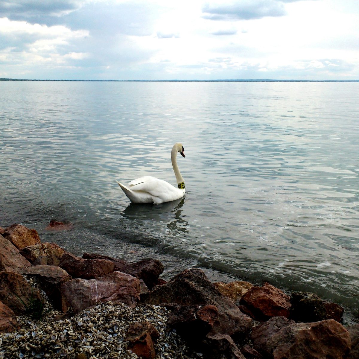 Die schönsten Seen Europas: Plattensee (Balaton), Ungarn