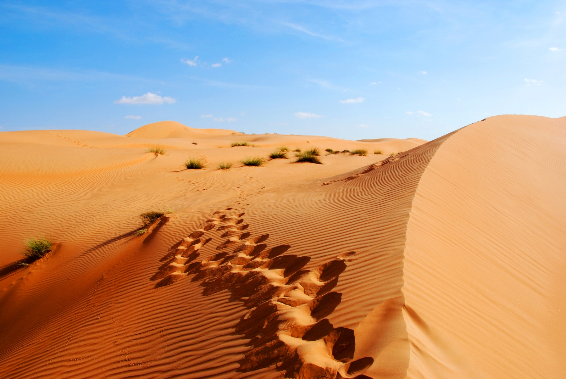 Por qué Omán debería ser tu próximo destino | Skyscanner Espana