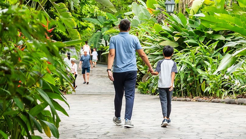 A photo of a man and a child holding hands, strolling down a paved path lined with greenery.