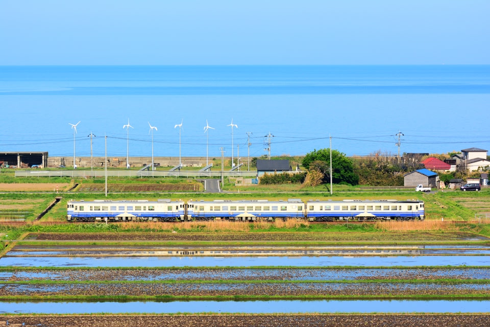 The background is the Sea of Japan, and the Gono line train travels in the countryside, Akita, Japan.