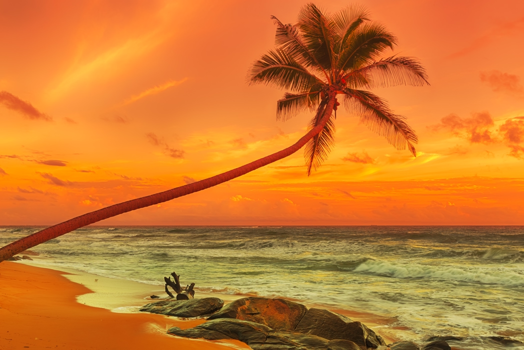 Sunset on a beach - when to go to Sri Lanka