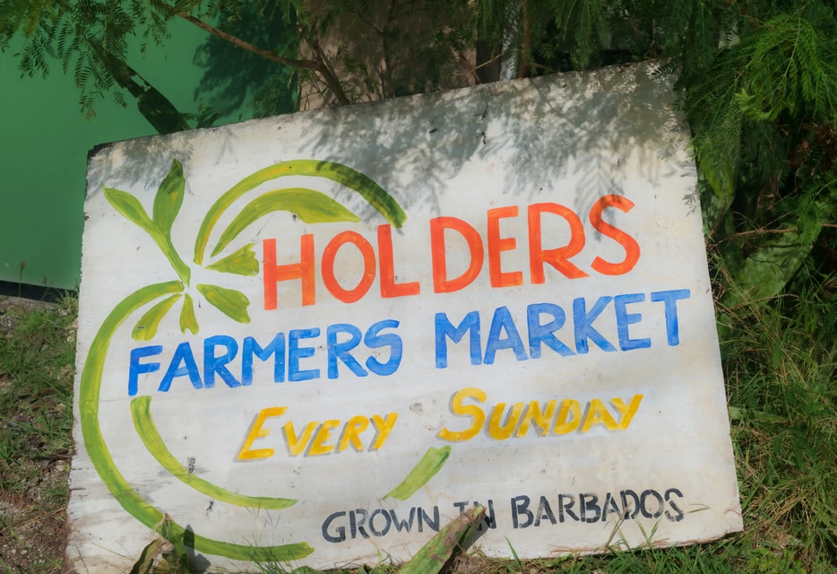 Der Holders Farmers Market ist ein beliebter Straßenmarkt auf der Insel