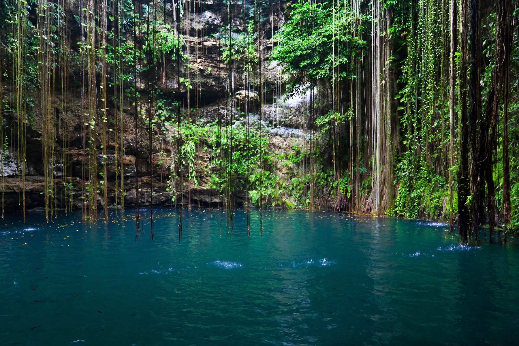 Cenotes en Mexico: color del año 2020